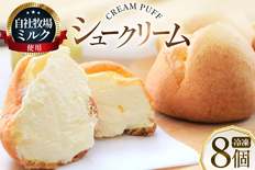 シュークリーム 冷凍 8個