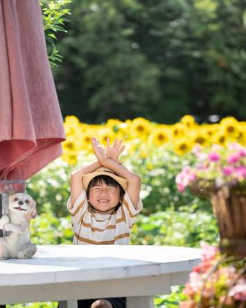 向日葵畑で一休み