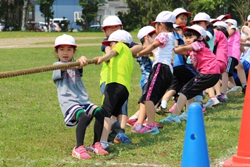 北光小学校 紅白綱引き